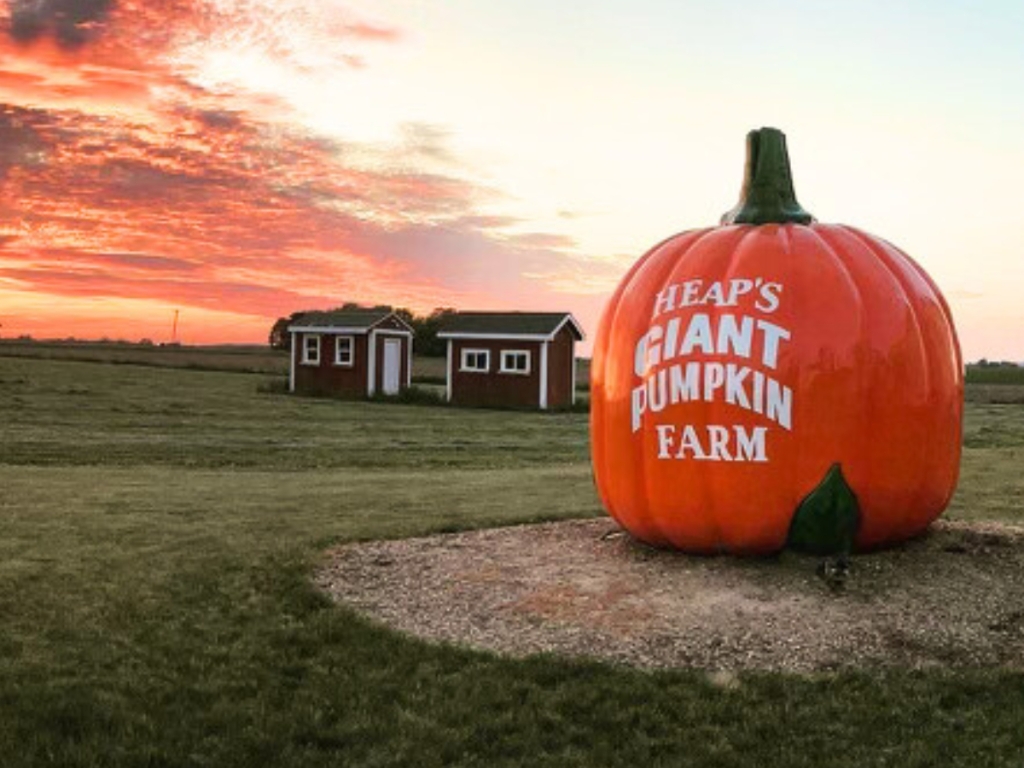 Heap’s Giant Pumpkin Farm | Minooka, IL